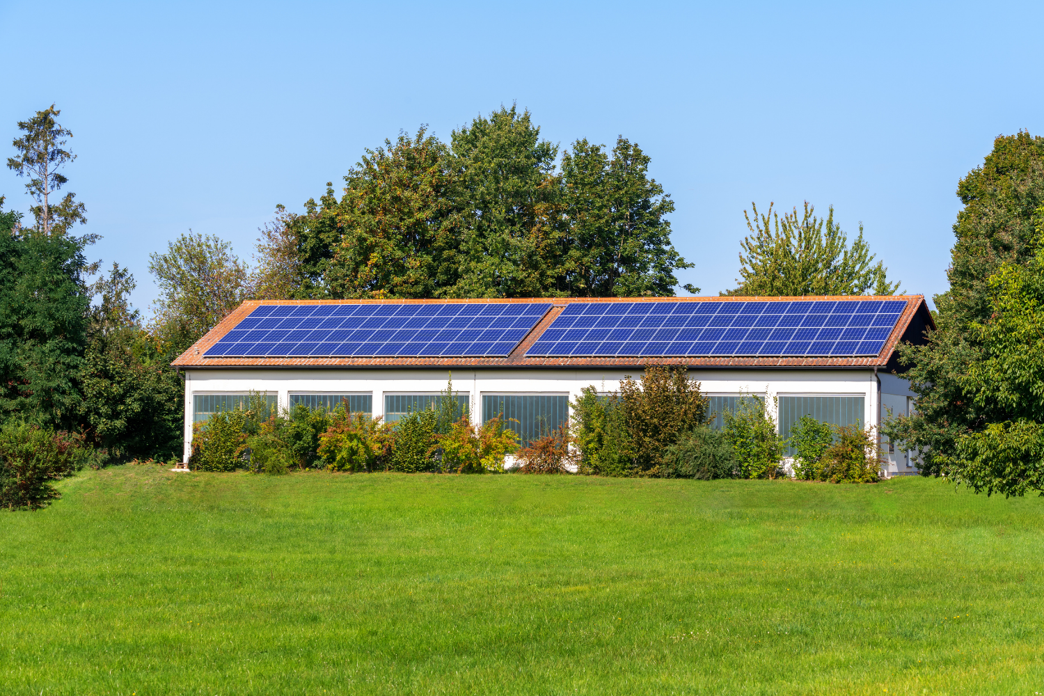 Al momento stai visualizzando In che modo è possibile guadagnare da un impianto fotovoltaico?